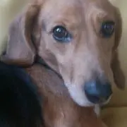 さーたんの画像