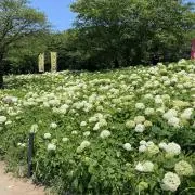 souchannnの画像