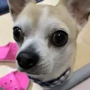 たっつくつん