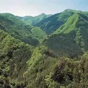 Kの画像