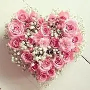 ♡ noble style ♡