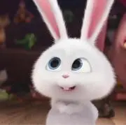 bunny moon✳︎即購入OKの画像