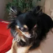 カナタ