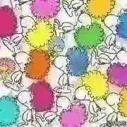だだだん【8月13日〜17日発送停止】の画像