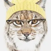 ちゃめぱんの画像