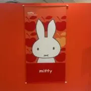ひとみの画像