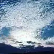 haruの画像