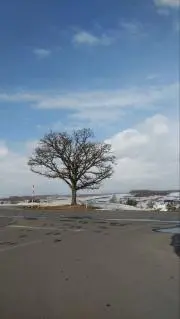 れらこの画像