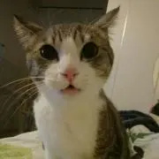 ユッキの画像