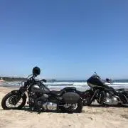Masaの画像