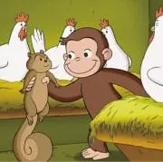 おさるのルフィーの画像
