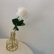ぴ