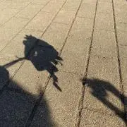 サキの画像