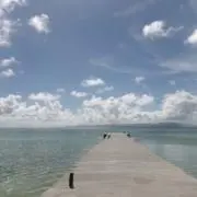Sの画像