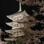 ラトの画像