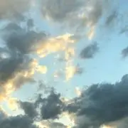 椿✦8/9〜8/17発送・受取不可の画像