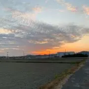 だるまの画像
