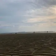 かっかの画像