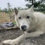 ぴかソ-即購入大歓迎！-プロフ必読ーの画像