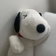 H. 【プロフ確認お願いします】の画像