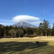 ryuu@ryuu