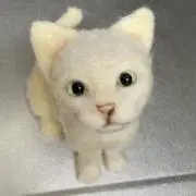 Nico22の画像