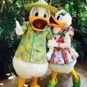 ひよこの画像