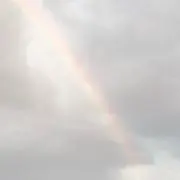 ほっとトマトの画像