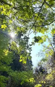 Yu お値下げ依頼受け付けます♪の画像