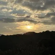 chouetteの画像
