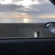 トレーニー