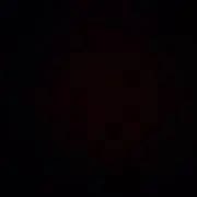 れれれのれいた(退会します)