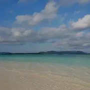 いっこの画像