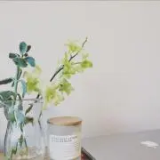 lemongreenの画像