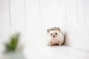 hiro＠の画像