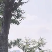 ゆっくりゆっくり