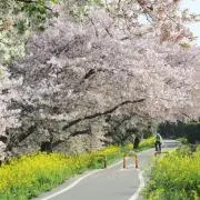 じゅんの画像