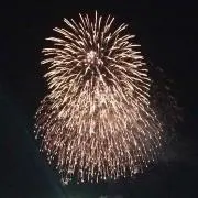 谷口智