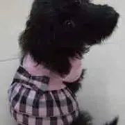 Hiromi