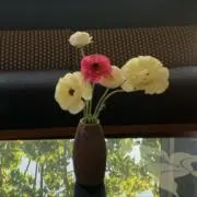 suu