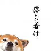たけしちゃんの画像