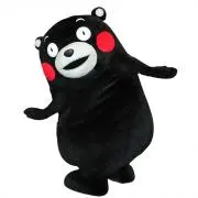 コウの画像