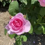 ⭐︎ST-House⭐︎プロフ必読の画像