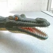 patpatの画像