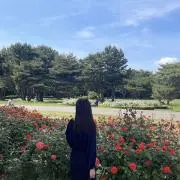 Riの画像
