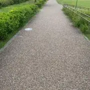 たけさん