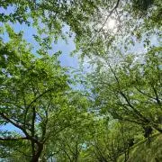 Hana87⭐︎プロフ読んでください☺︎の画像