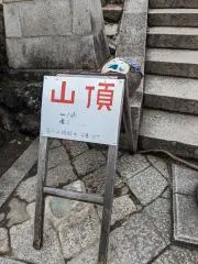 杏の画像