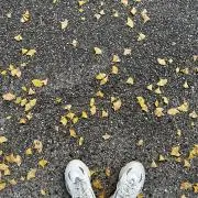 RURIの画像