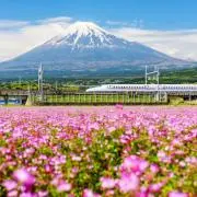 エコーの画像
